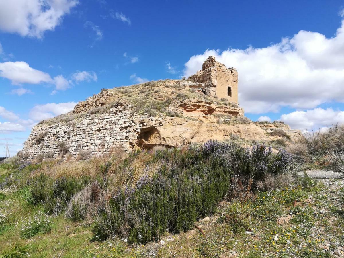 Ca L'Aviador Villa Sarroca de Lerida Luaran gambar